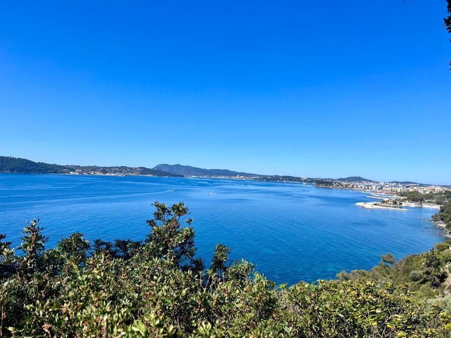 Photo de la galerie de l'établissement Ô perché, à Toulon