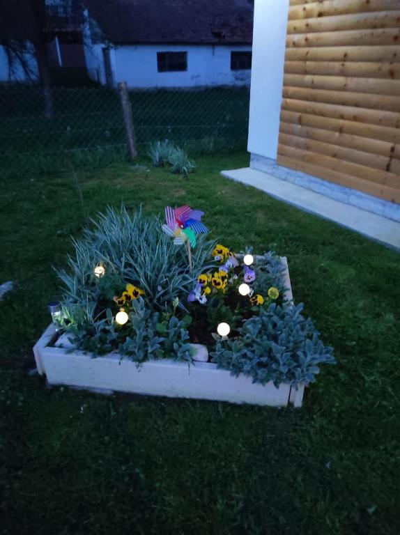 Kuća za odmor Antonija - 11