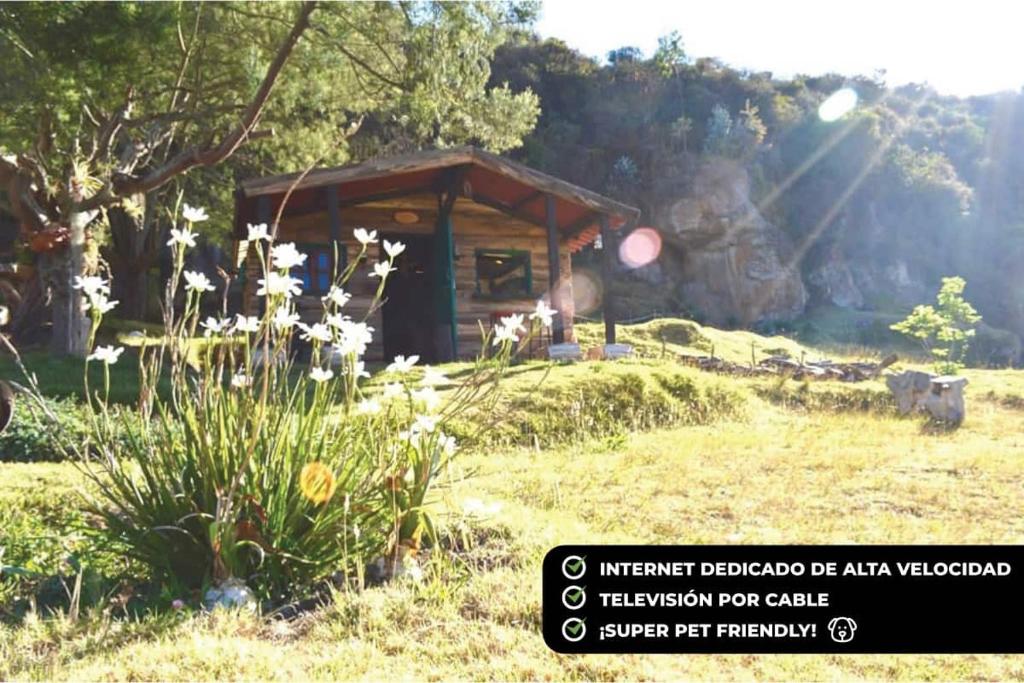 Guaque - Housity