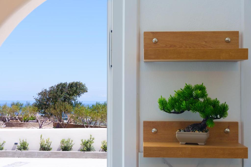 Zaitun Luxury Suites - 10