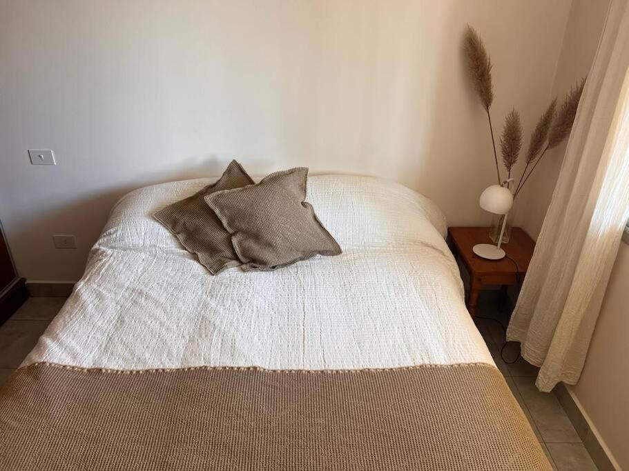um quarto com uma cama com duas almofadas em Departamento en ciudad cultural em San Salvador de Jujuy