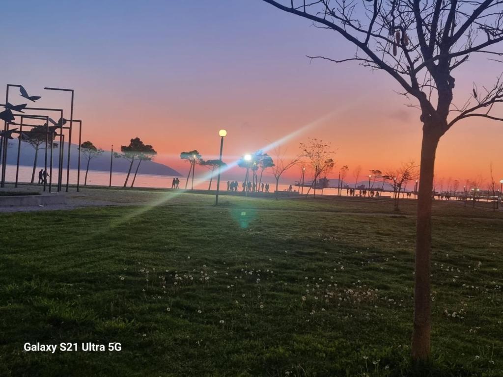 una puesta de sol en un parque con un árbol en la hierba en Vlora Apartment, en Vlorë