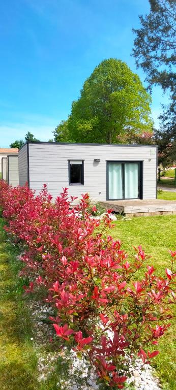 Les Logis de la Seugne - Chalet Met één Slaapkamer