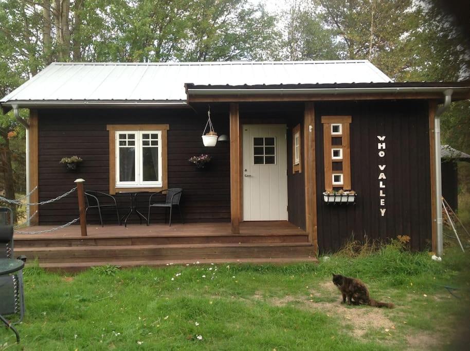 une petite cabine avec un chat assis devant elle dans l'établissement Mysig liten stuga i Vemdalen, à Vemdalen