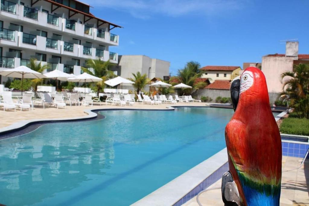 een standbeeld van een papegaai naast een zwembad bij Laguna Beach Porto de Galinhas in Camela
