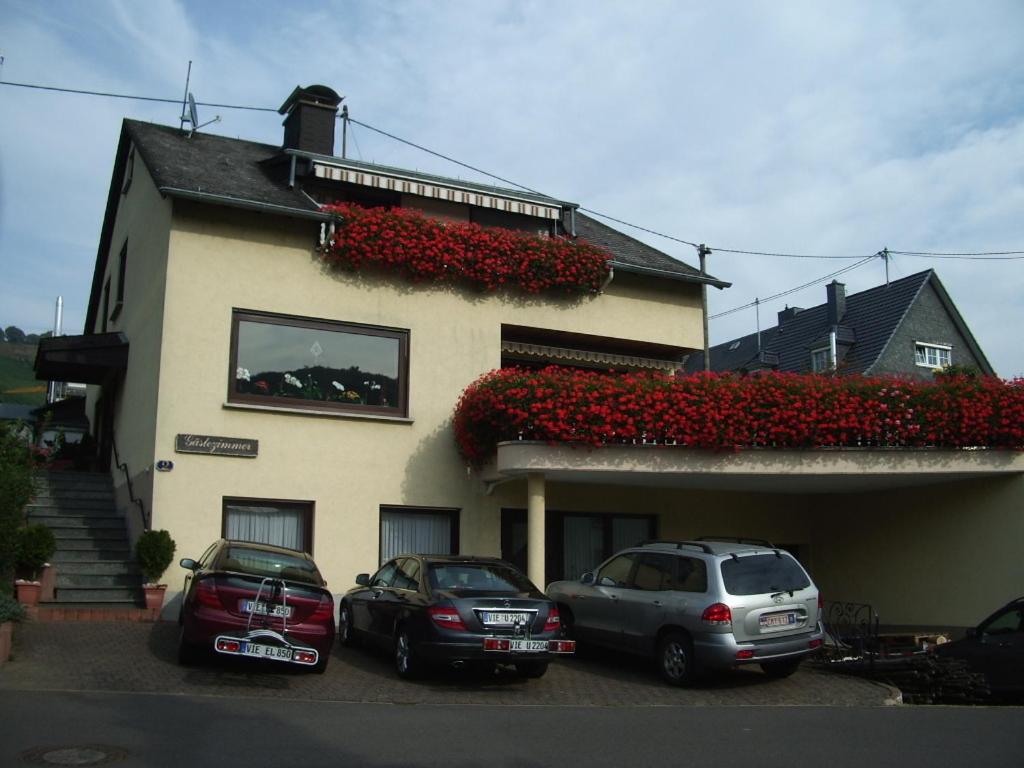 two cars parked in front of a house at Gästehaus Resi in Zeltingen-Rachtig