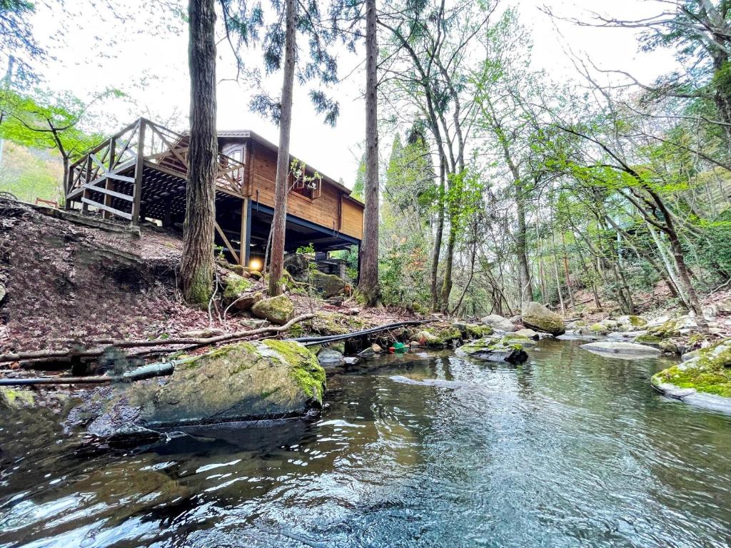 eine Hütte im Wald neben einem Fluss in der Unterkunft るり渓 フレアキャビン in Nantan city