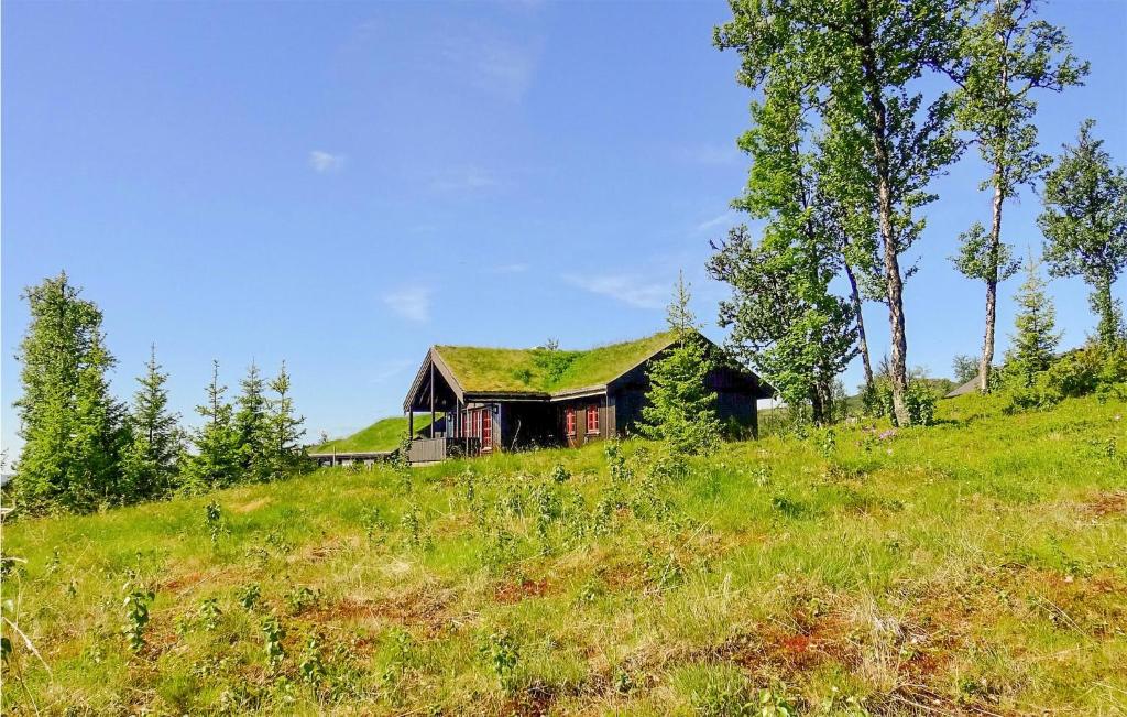 a house with a grass roof on top of a hill at Beautiful Home In Gol With Sauna And 4 Bedrooms in Gol