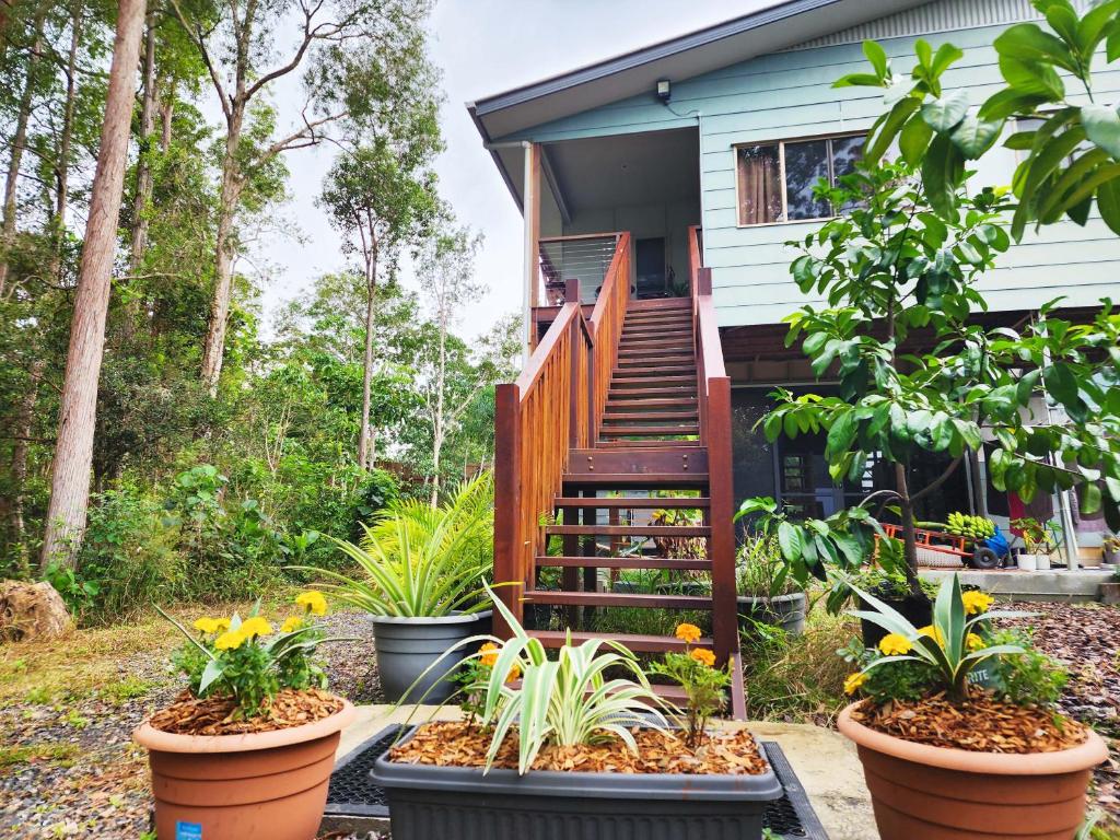 Zahrada ubytování Cosy Studio with Forest Views, Noosa Hinterland