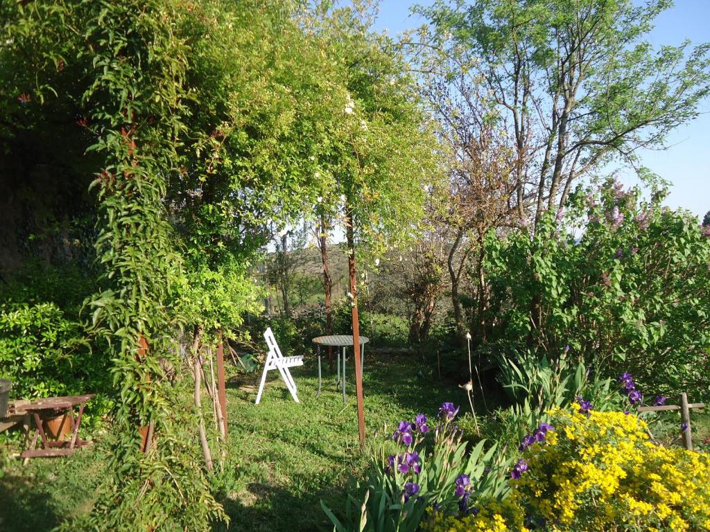 Zahrada ubytování La Colline Bleue