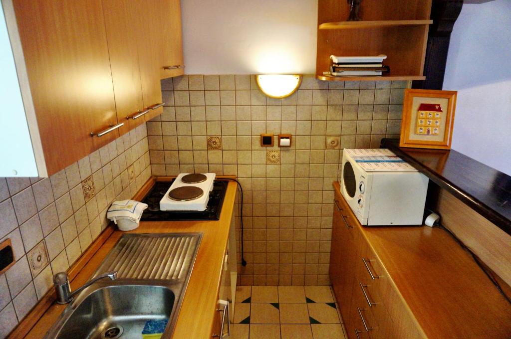 małą kuchnię ze zlewem i kuchenką mikrofalową w obiekcie Marinac Apartment w Zagrzebiu
