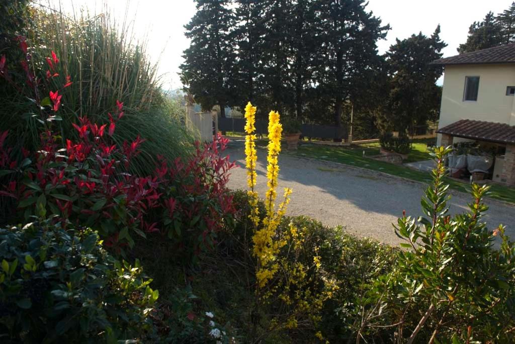 A garden outside Villa la torre