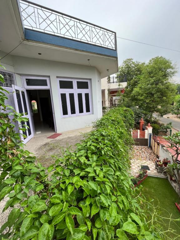 Zahrada ubytování Travel curiosity Homestay