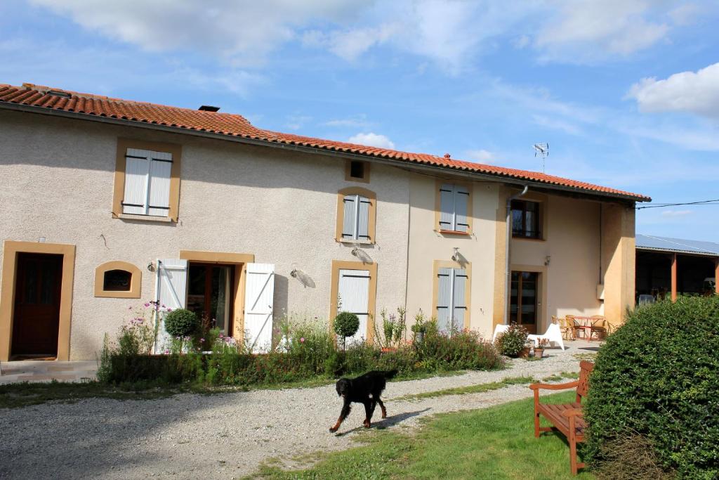 a black dog running in front of a house at La Ferme de Bellune in Mazères