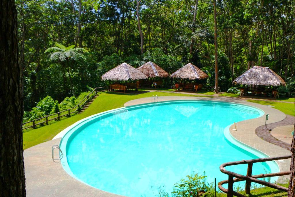 a swimming pool in a resort with huts at Eden Nature Park and Resort in Davao City