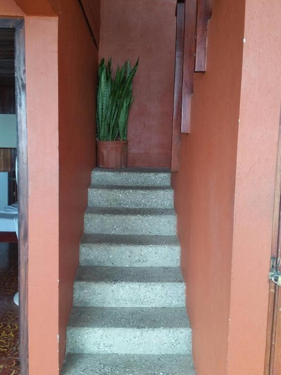 Fotografie z fotogalerie ubytování Hotel Cabinas Mar Y Cielo v destinaci Montezuma