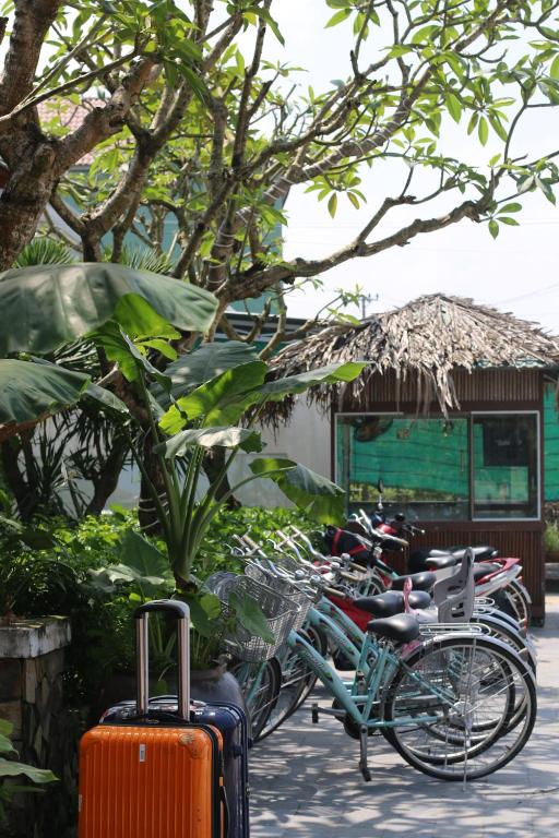 Jízda na kole v ubytování Hoi An Eco Lodge & Spa nebo okolí
