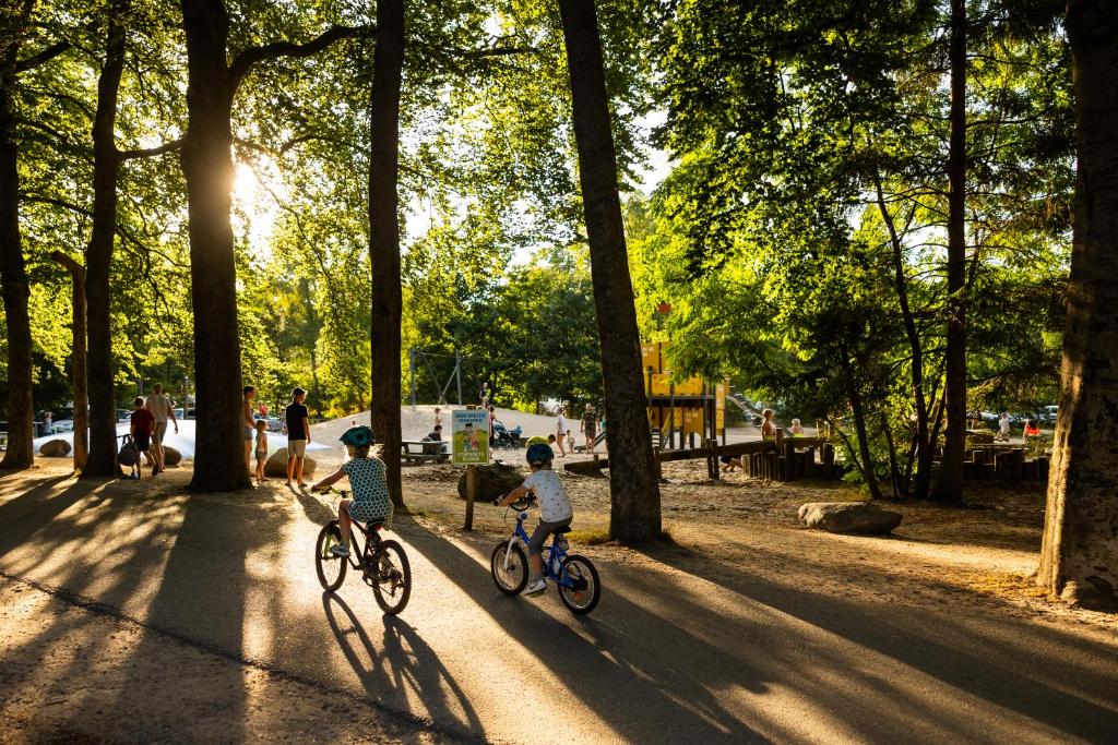 Dos niños montando en bicicleta en un parque con árboles en RCN het Grote Bos, en Doorn