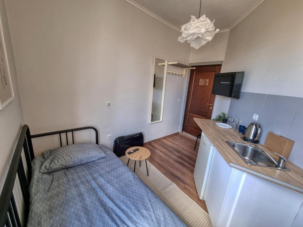 Cet appartement comprend une chambre avec un lit et un évier ainsi qu'une cuisine. dans l'établissement Relaxing Studio in Sofia Center, à Sofia