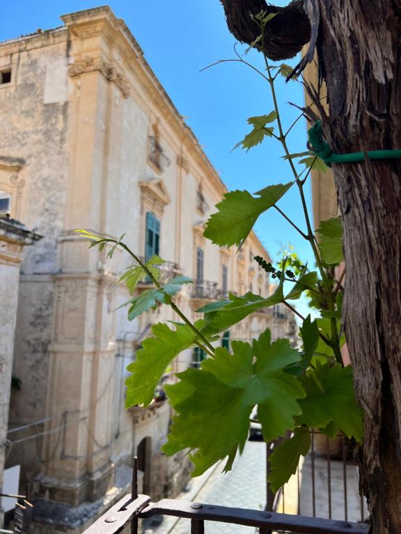 Fotografie z fotogalerie ubytování Casa Modica - Luxury rooms v destinaci Noto