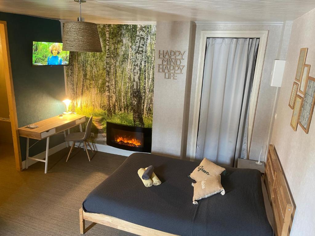 um quarto com uma cama, uma secretária e uma lareira em Studio Nature, proche du centre-ville em Dijon