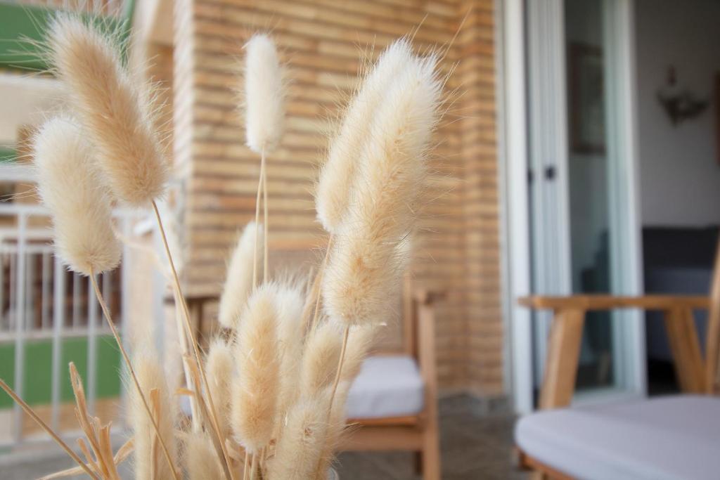 Fotografie z fotogalerie ubytování Global Properties, Apartamento con terraza y piscina a un paso de la playa v destinaci Canet de Berenguer