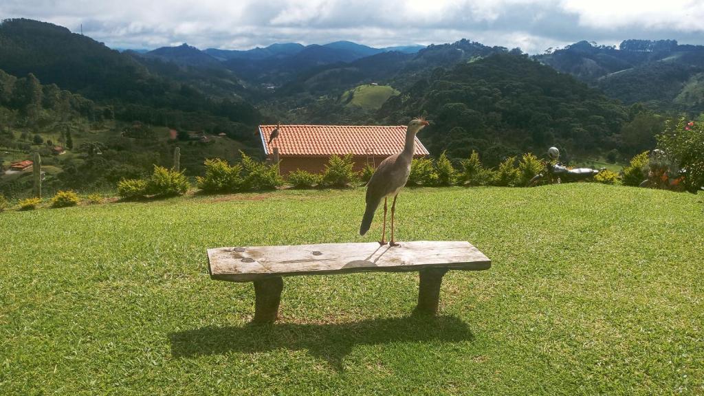 Fotografie z fotogalerie ubytování piscina nas montanhas de Gonçalves v destinaci Gonçalves