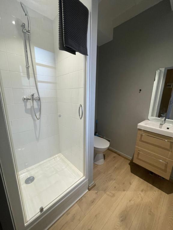 ein Bad mit einer Dusche, einem WC und einem Waschbecken in der Unterkunft Petit Studio Centre Ville n°10 in Besançon