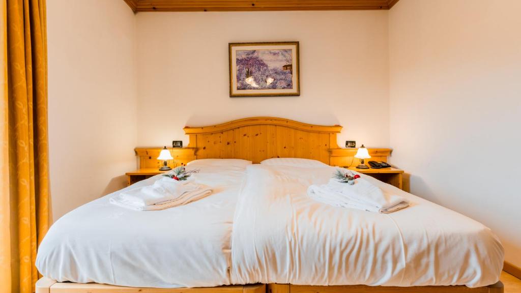 HOTEL DOLOMITI di De Martin D Oscar - Superior Double Or Twin Room With Terrace
