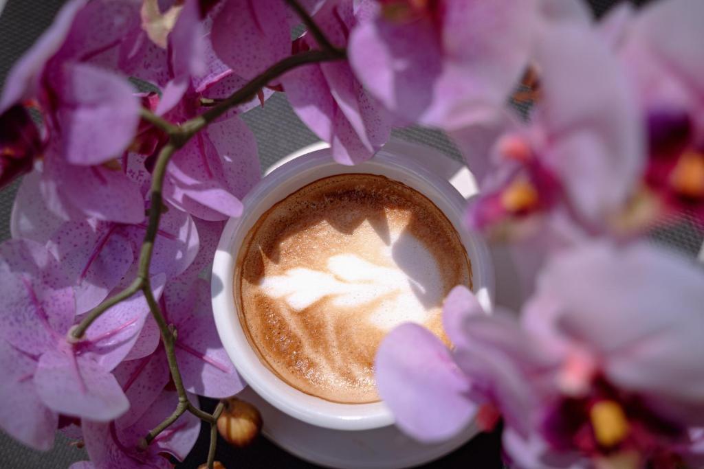 Hotel Carpathia - Resim 43