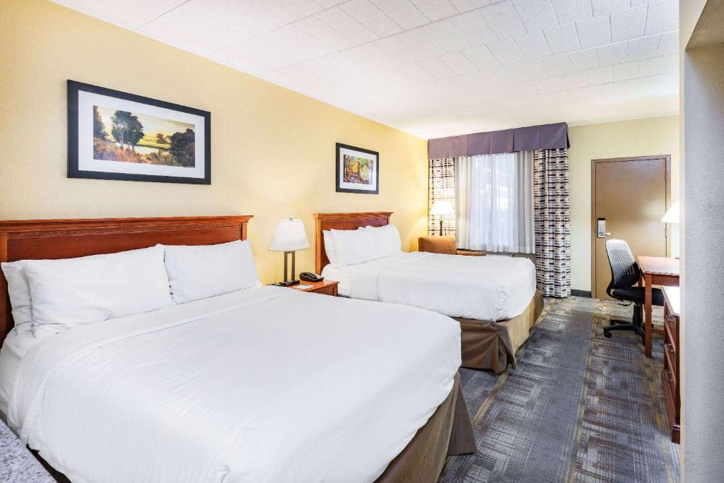 Wyndham Garden York - 标准皇后室，有两张大床 - 不吸烟