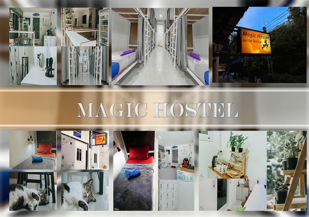 a collage of pictures of a magic hospital at Magic Hostel in Phi Phi Don