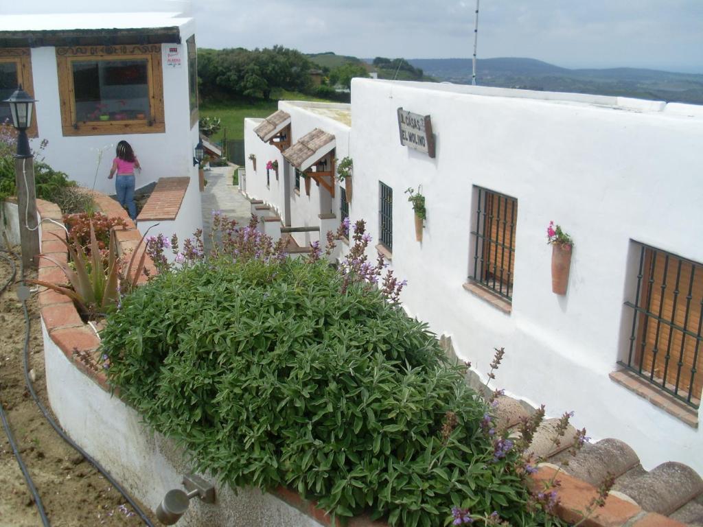 Casas El Molino - 12