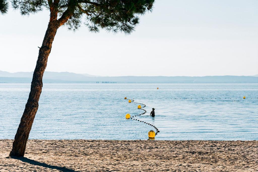 a person standing in the water on a beach at Maison de 2 chambres avec piscine partagee jardin clos et wifi a Eyguieres in Eyguières