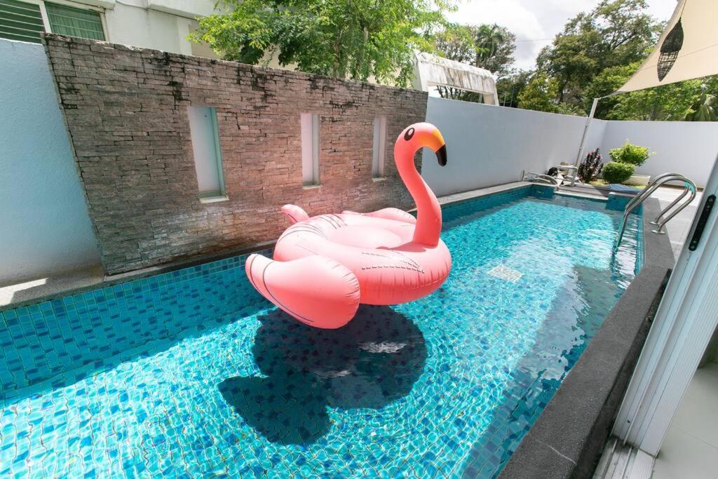 um flamingo insuflável cor-de-rosa numa piscina em GeorgeTown PrivatePool Snooker 20Pax BBQ em George Town