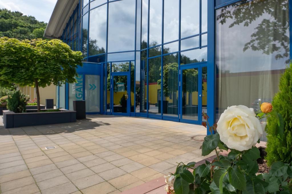 Zahrada ubytování Hotel Strohofer