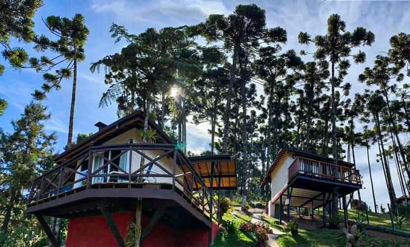 une maison avec des arbres en arrière-plan dans l'établissement Chalés Descanso na Serra, à Monte Verde
