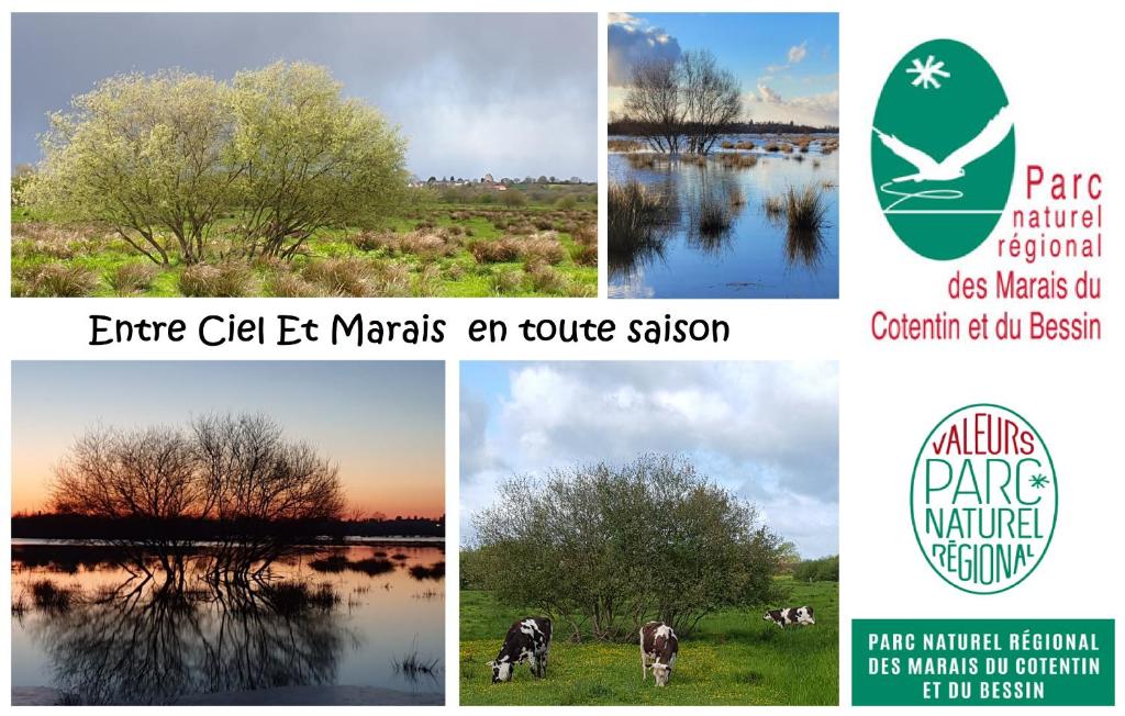 un collage de quatre photos d'arbres et d'eau dans l'établissement Entre Ciel et Marais, à Graignes