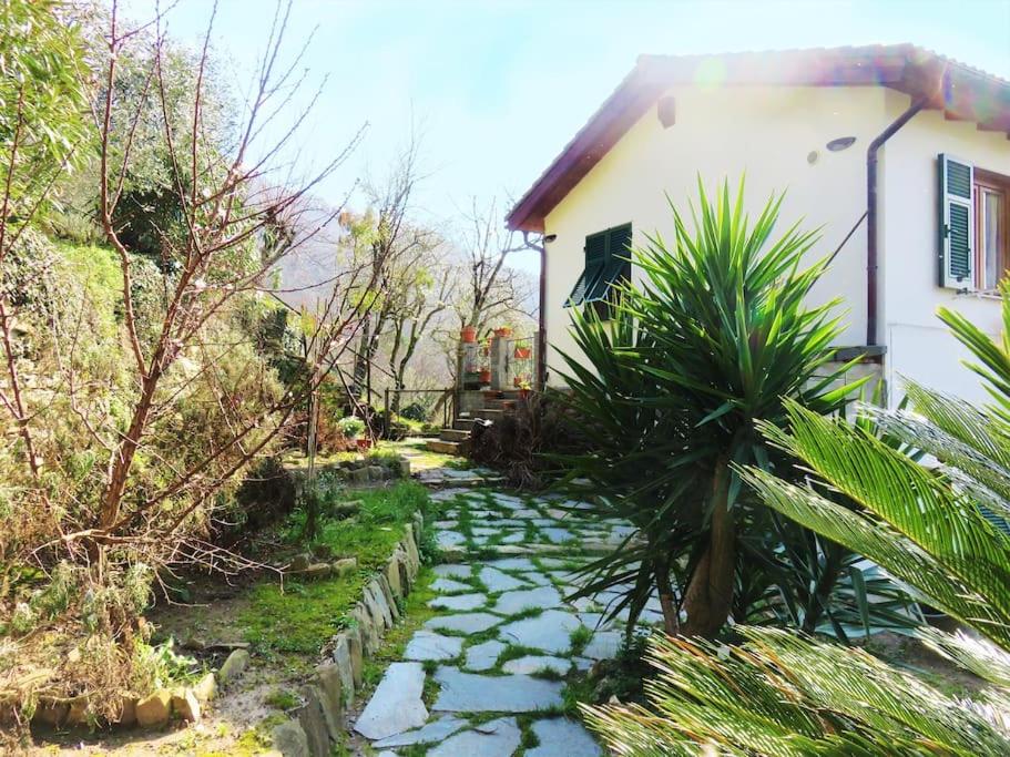 Zahrada ubytování casa di arya CODICE CITRA LT-0043