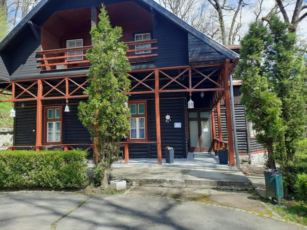 a large wooden house with a tree in front of it at Vila Viorica in Sovata