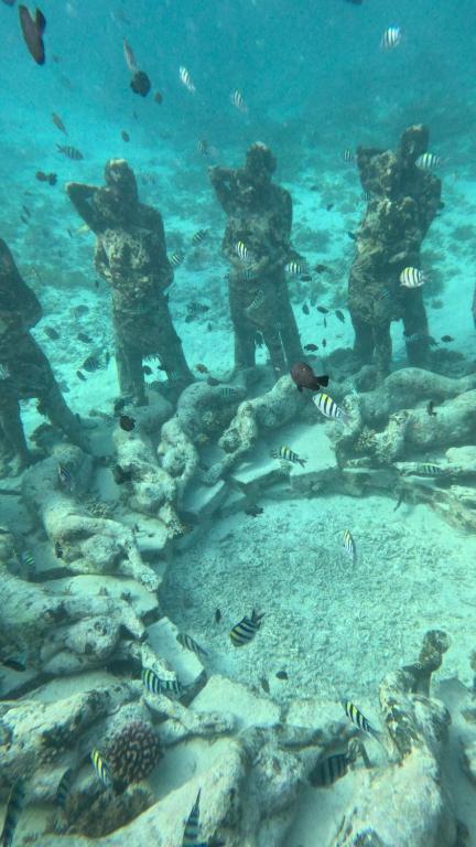 a group of people standing in the water with fish at Meno Suites in Gili Meno