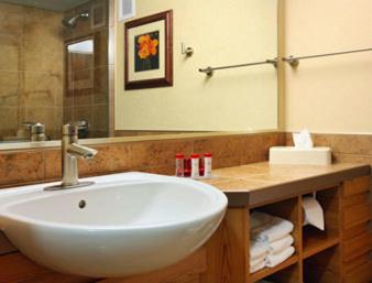 Ramada by Wyndham Des Moines Tropics Resort & Conference Ctr - Queen Room Met Twee Queensize Bedden - Niet -roken