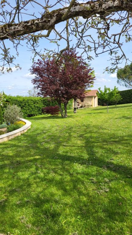 Zahrada ubytování Gite La Cabiotte Nature et Spa