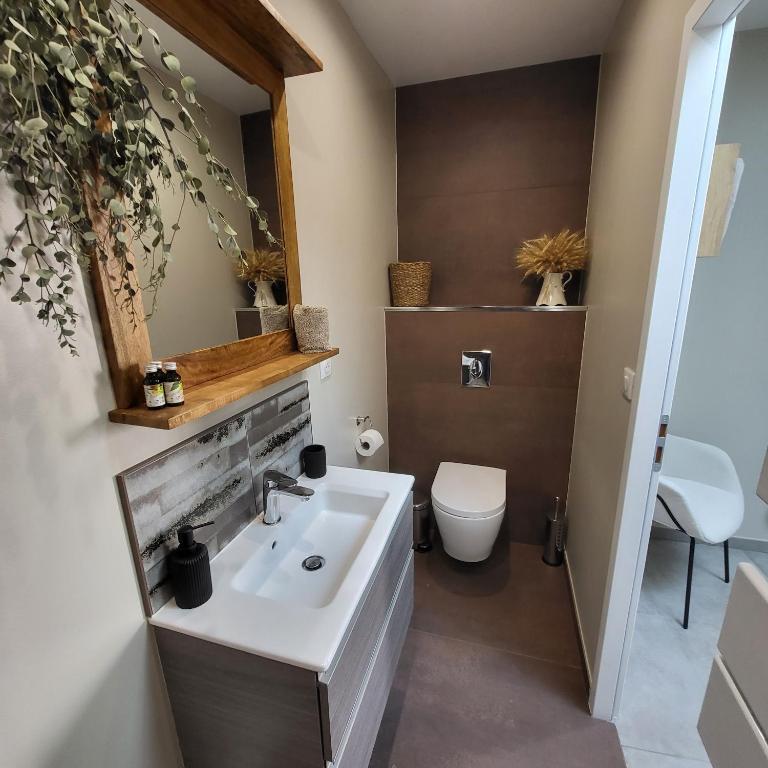 Koupelna v ubytování Gite La Cabiotte Nature et Spa