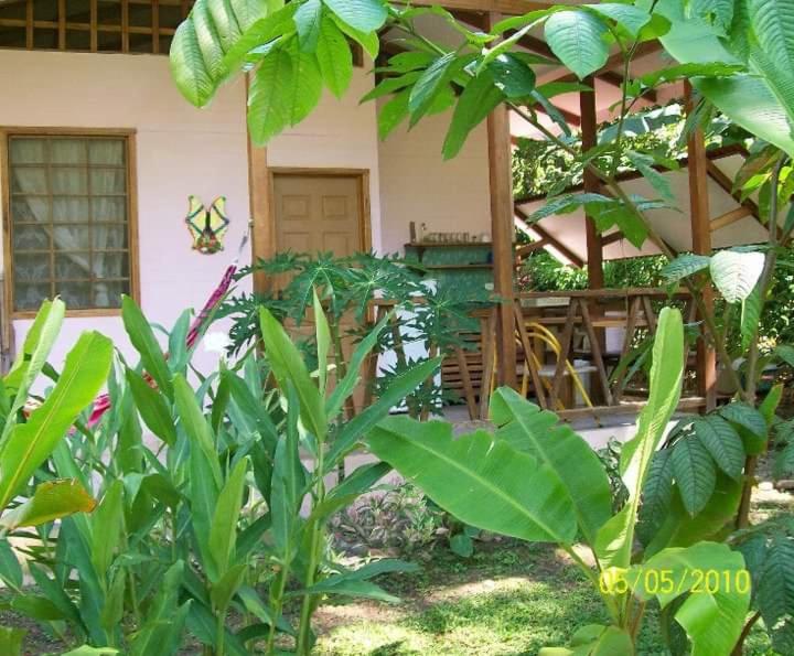 Zahrada ubytování Luna Caribeña Village