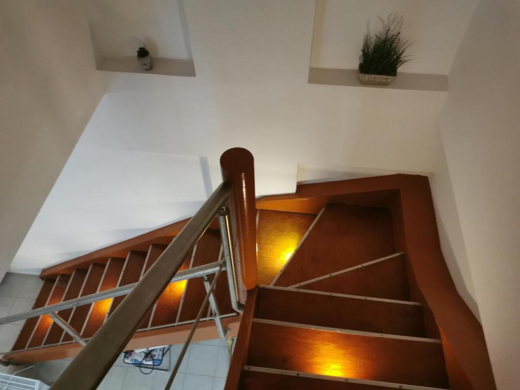 a staircase in a house with a potted plant on the wall at Males House in Malles