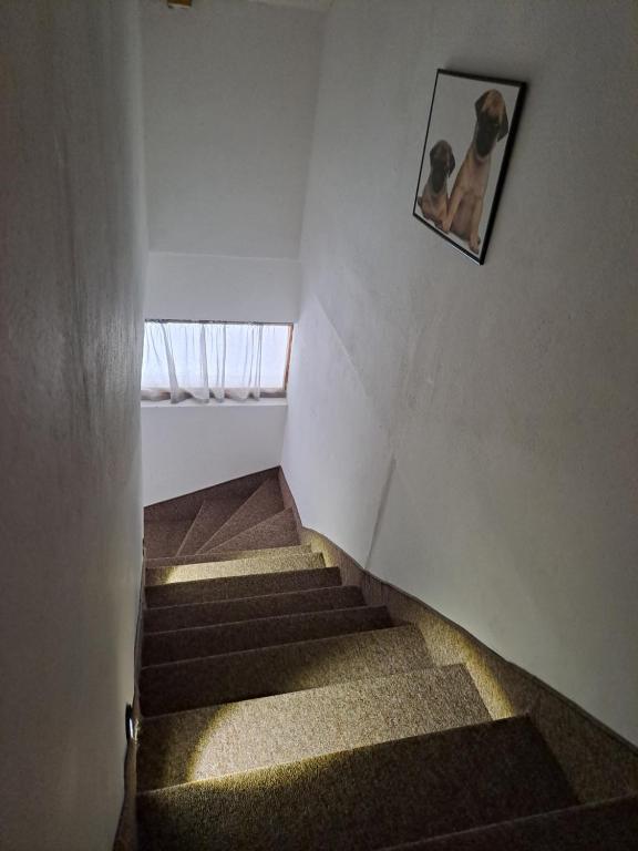 Postel nebo postele na pokoji v ubytování Sofi