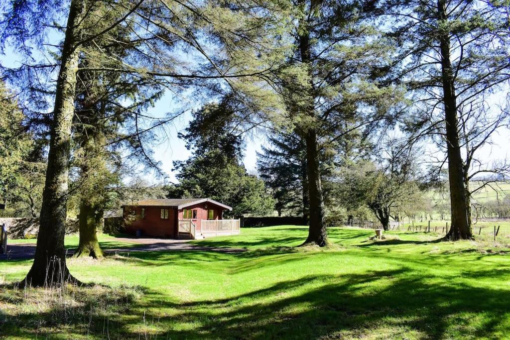 een huis in een veld met bomen en groen gras bij Secluded Pine Lodge 2 in Wigton