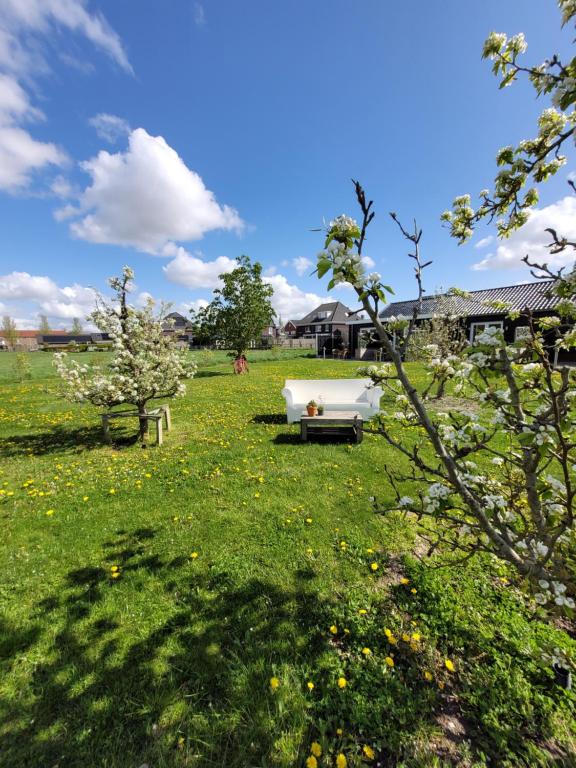 Zahrada ubytování B&B Buutegeweun