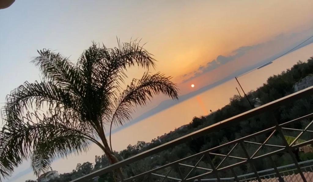 a palm tree with a sunset in the background at JTverga apartments A3 in Almirón